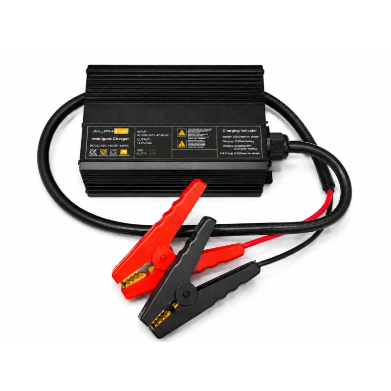 Cargador LiFePO4 50A para baterías de litio 12.8V con pinzas