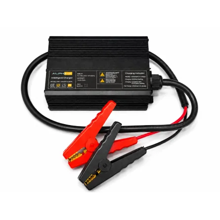 Cargador LiFePO4 50A para baterías de litio 12.8V con pinzas