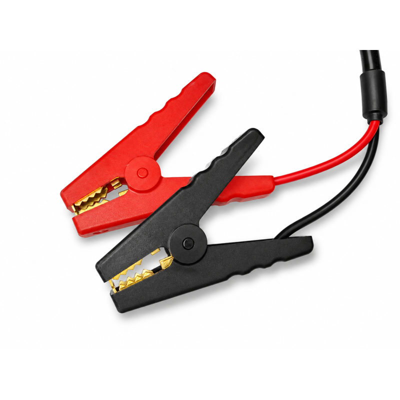 Cargador LiFePO4 30A para baterías de litio 12.8V con pinzas