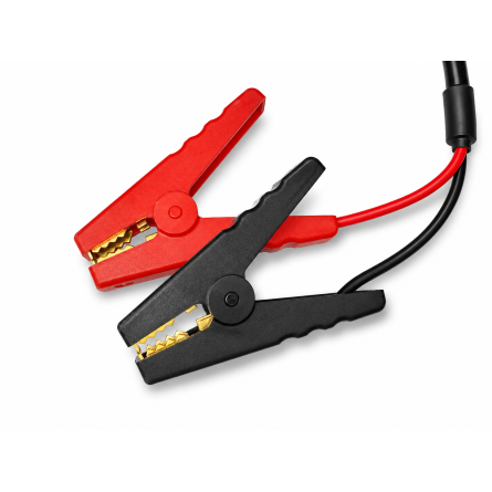 Cargador LiFePO4 30A para baterías de litio 12.8V con pinzas