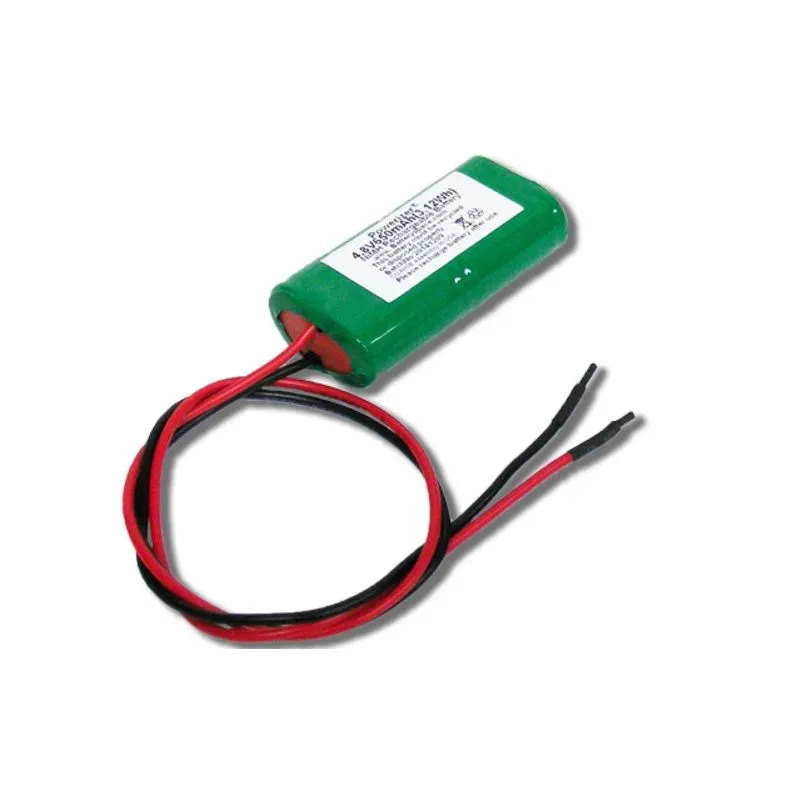600mah batteria 4.8v