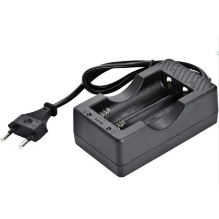 Caricabatteria per batteria 18650 al litio 500mah