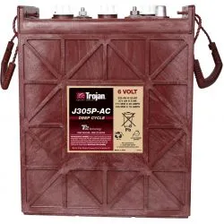 Batteria Trojan J305P-AC