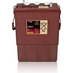 Batterie Trojan L16HG-AC