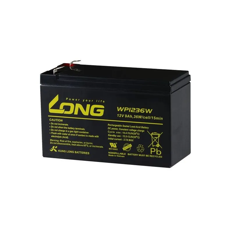 Batteria al Piombo-Acido AGM 12V 9Ah LONG WP7.2-12