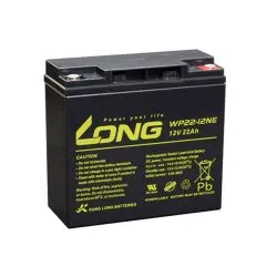 Batteria al Piombo-Acido AGM 12V 22Ah LONG WP22-12NE