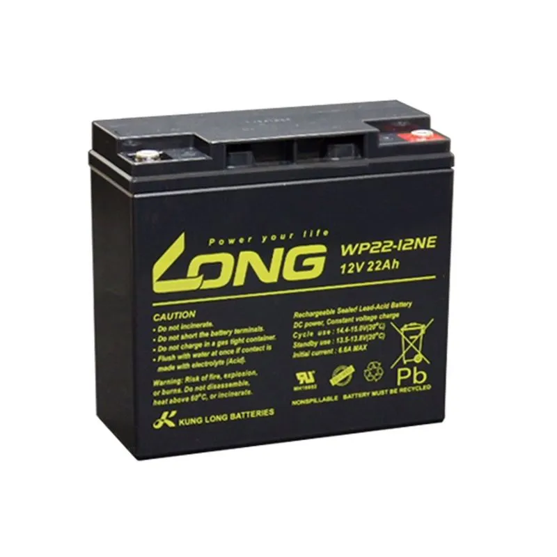 Batteria al Piombo-Acido AGM 12V 22Ah LONG WP22-12NE
