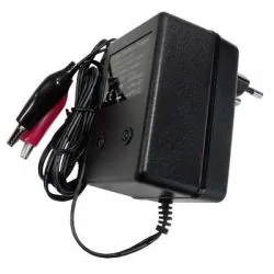 Carica batteria Piombo 12V 1A
