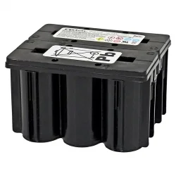 Batteria al Piombo AGM 12V 2.5Ah EnerSys CYCLON 0819-0020 Monoblocco D Cell 2x3