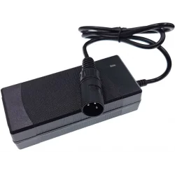 Batteria caricabatteria sedia a rotelle e scooter 24V 2A
