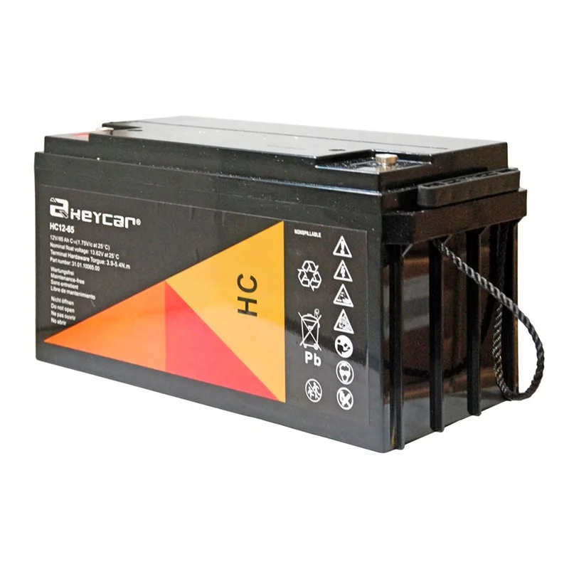 Batteria al Piombo AGM 12V 65Ah