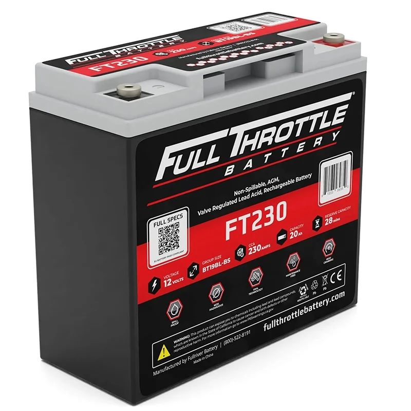Blei AGM Battery 12V 20Ah Fullriver FT230 Booster