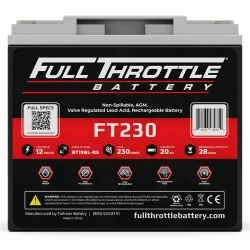 Batteria al Piombo AGM 12V 20Ah Fullriver FT230 Booster