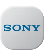 Caricabatterie portatile sony vaio