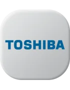 Caricabatteria Toshiba