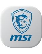 Akkus für MSI